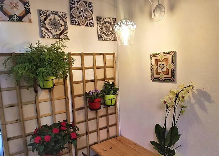 Estrela Charming By Host-point