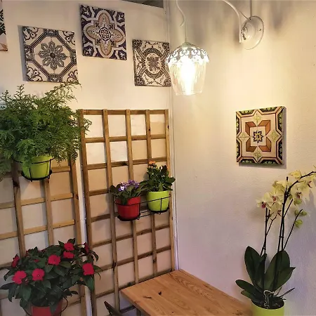 Estrela Charming By Host-point